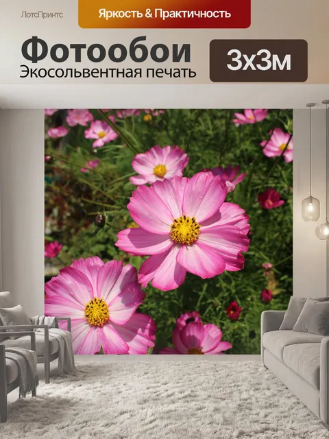 Фотообои Розовый Космос