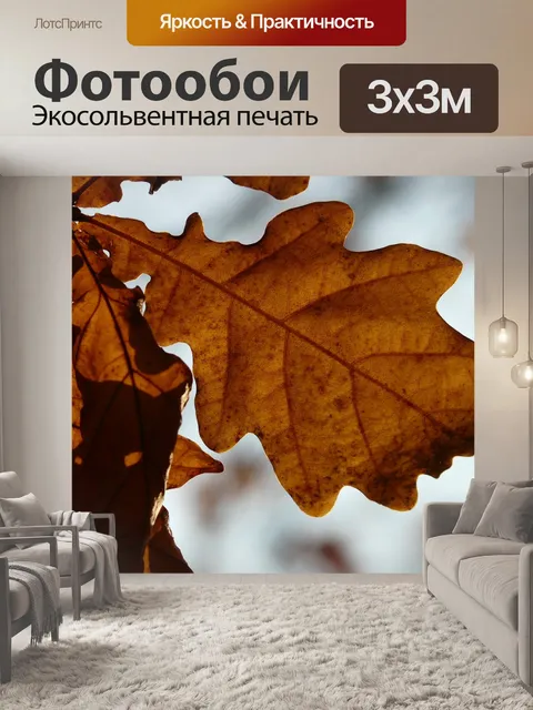 Фотообои Дубовые листья