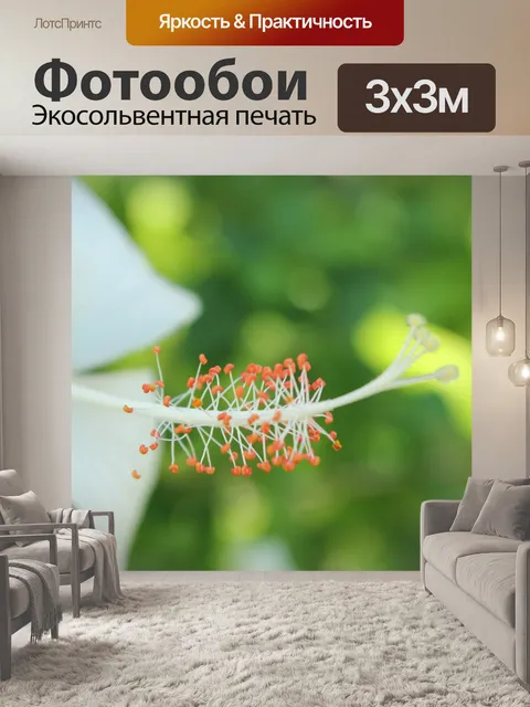 Фотообои белый gumamela пыльника