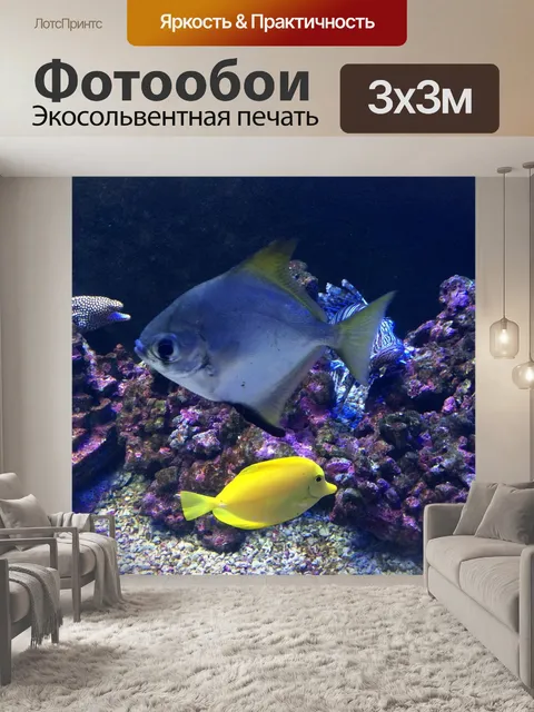 Фотообои В воде