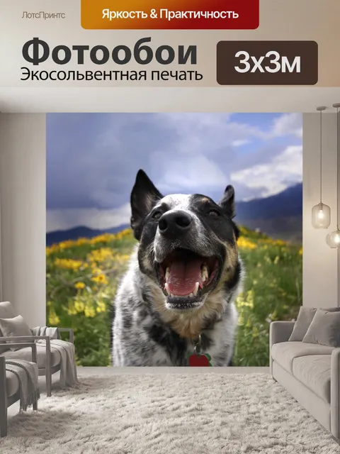 Фотообои Собака
