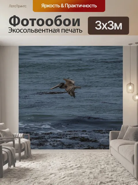 Фотообои летающий пеликан