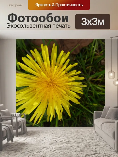 Фотообои Желтый цветок одуванчика