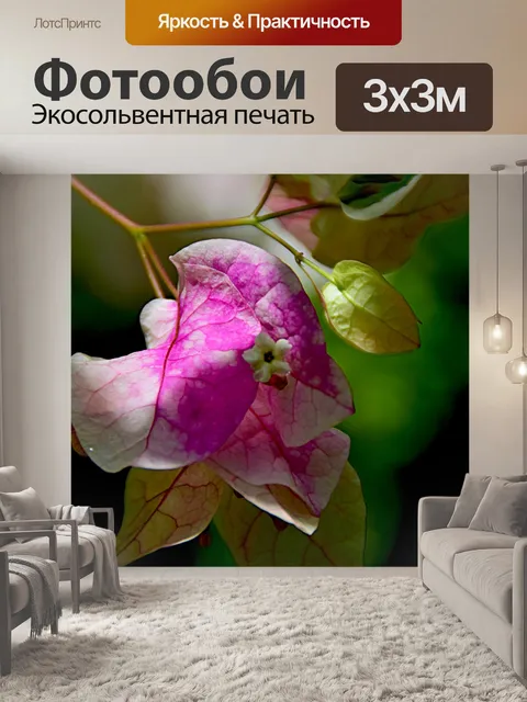 Фотообои Бугенвиллия