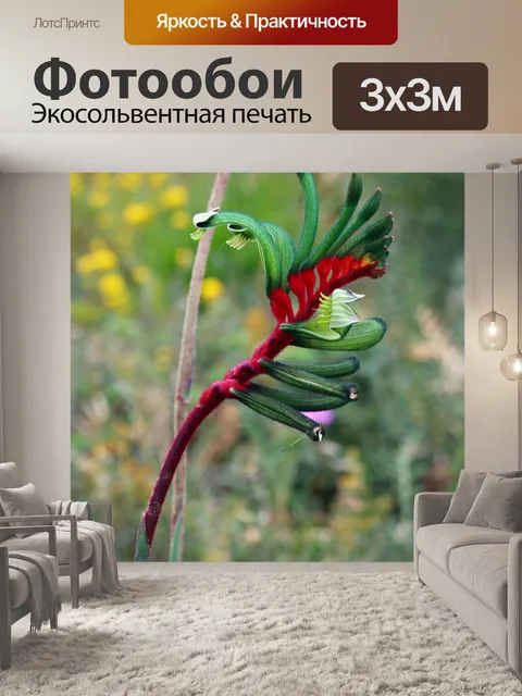 Фотообои Кенгуру лапа