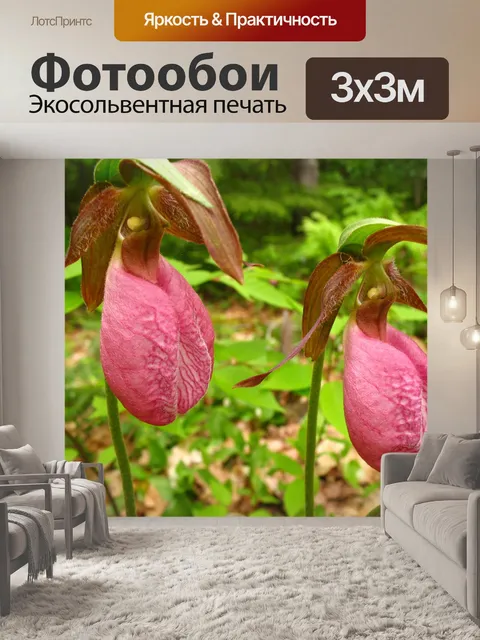 Фотообои Женские туфли