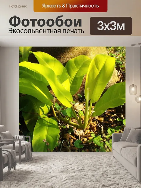 Фотообои Листья