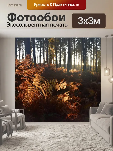 Фотообои Лес