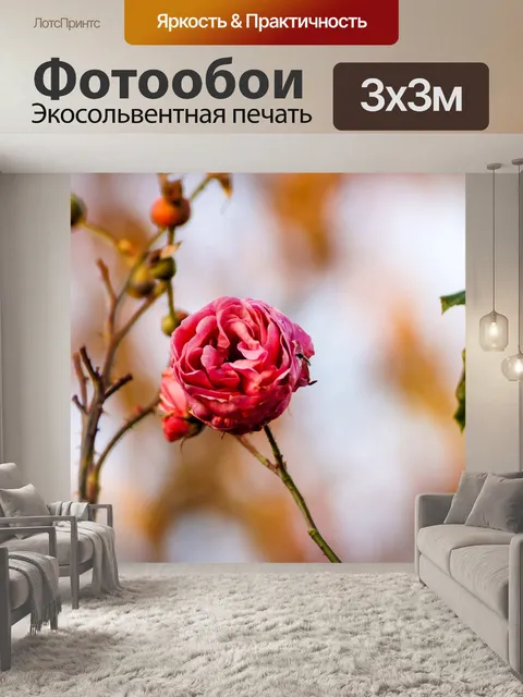 Фотообои Роза