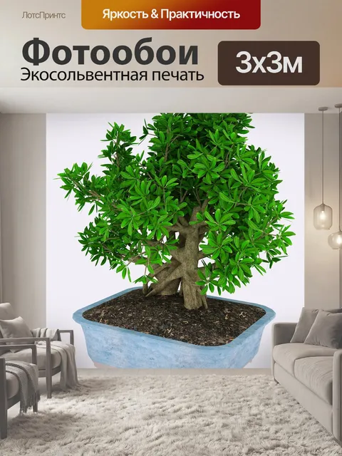 Фотообои Дерево