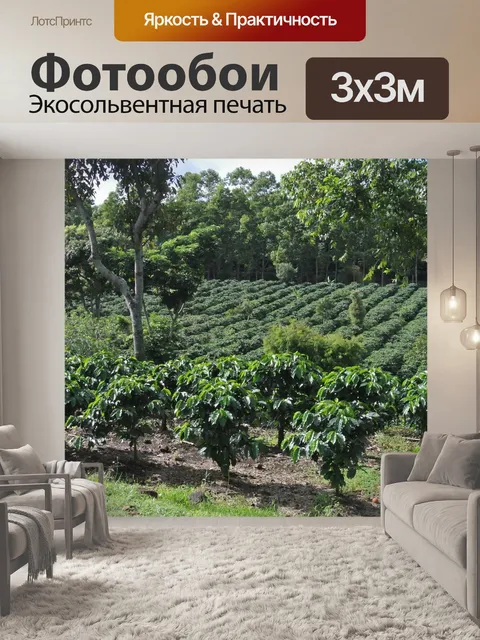Фотообои Кофе