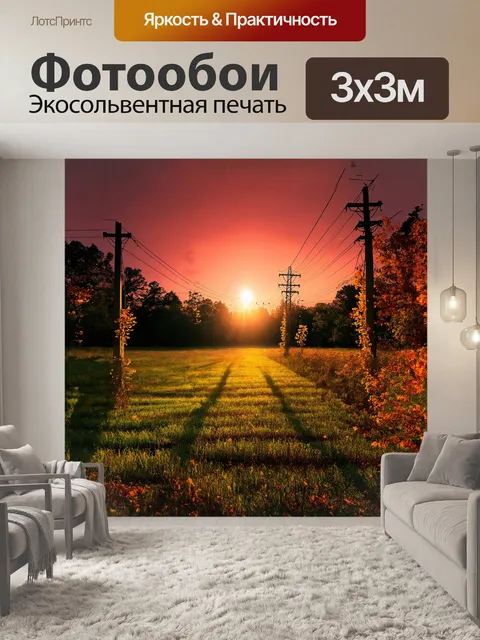 Фотообои величественные линии электропередач проходят через затененные участки леса и открытые поля