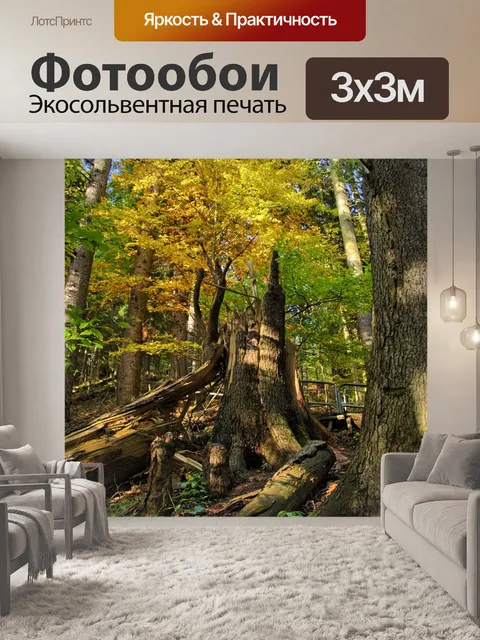 Фотообои Горы