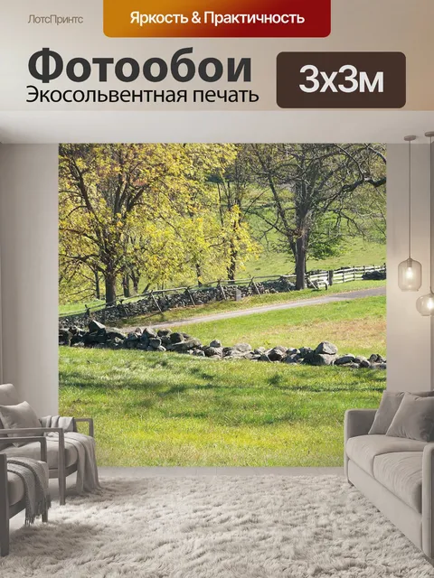 Фотообои Battlefield