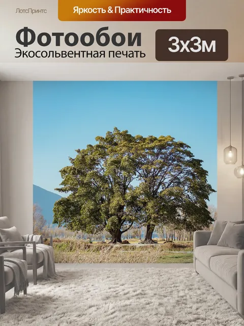 Фотообои Простой