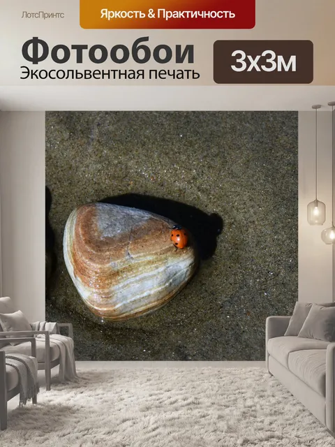 Фотообои божья коровка