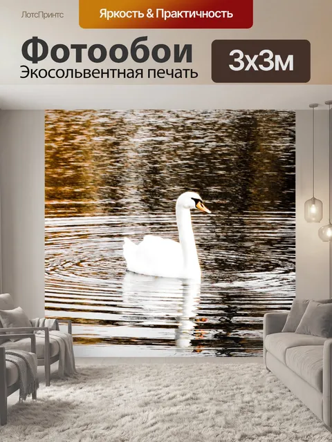 Фотообои Лебедь