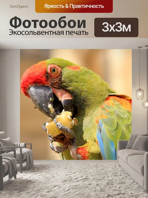 Фотообои Птица