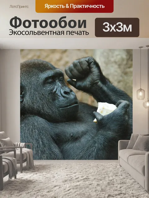 Фотообои Обезьяна