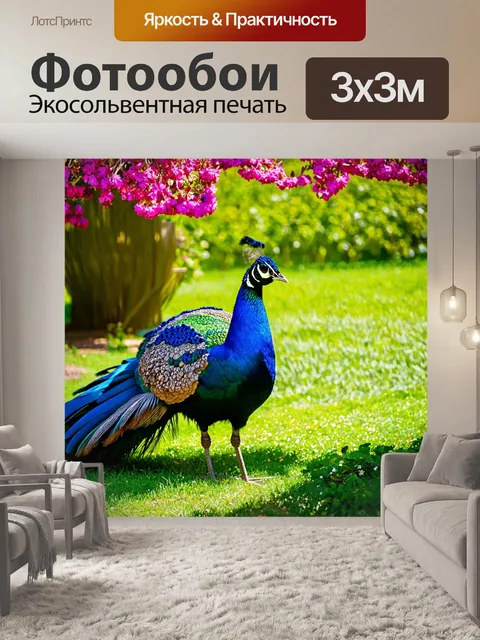 Фотообои павлин, притаившийся в тени, его перья сверкнули, когда он выходит на свет, вокруг него расцветают пышные…
