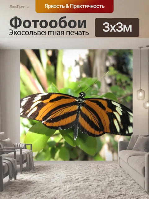 Фотообои Бабочка