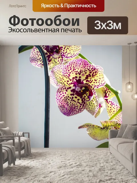 Фотообои Цветы