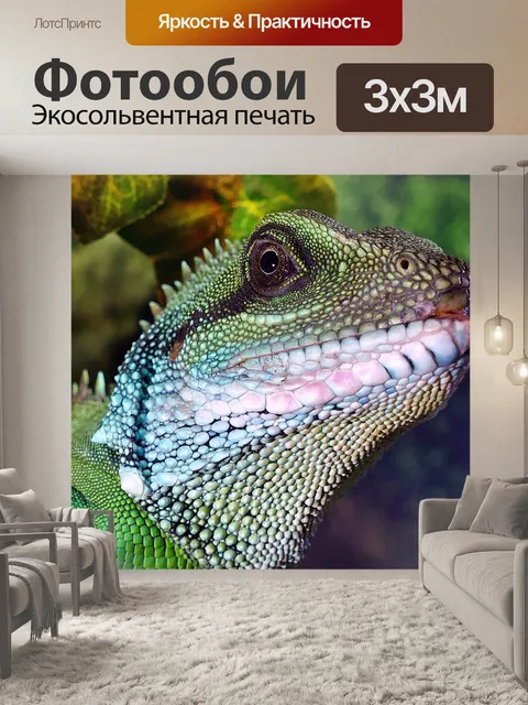 Фотообои Китайские воды дракон