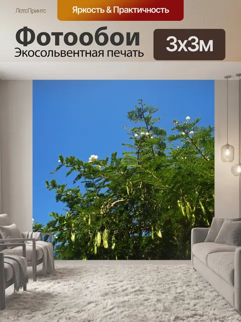 Фотообои колючее дерево с зеленой листвой