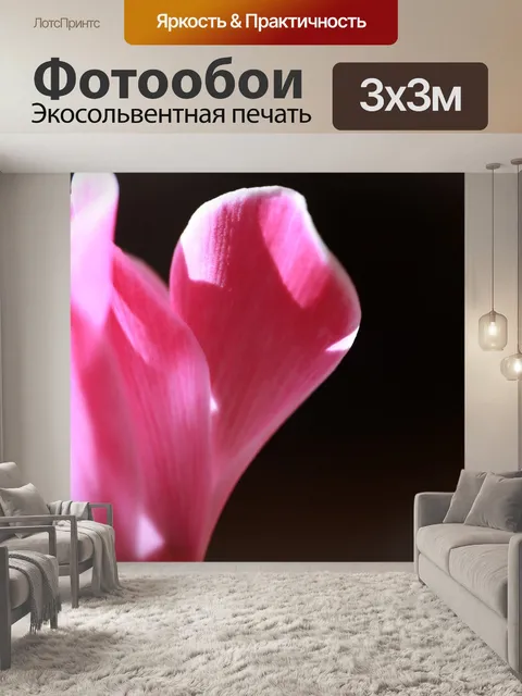 Фотообои Цветок