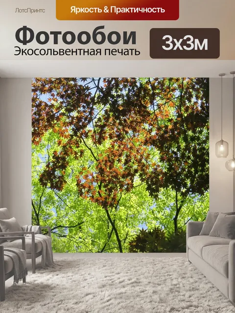 Фотообои Лес