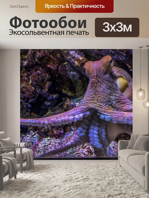 Фотообои Осьминог