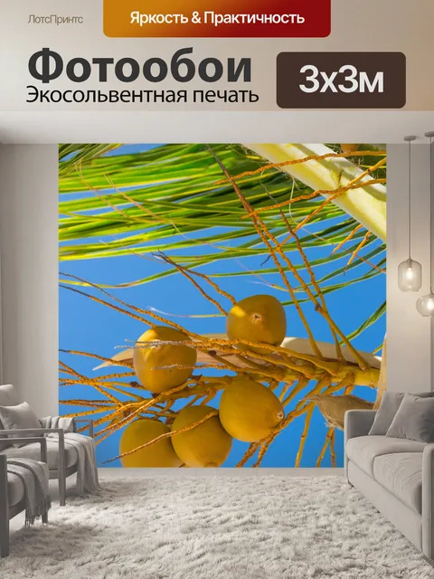 Фотообои выращивание кокосовых орехов
