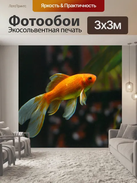 Фотообои Вуаль хвоста