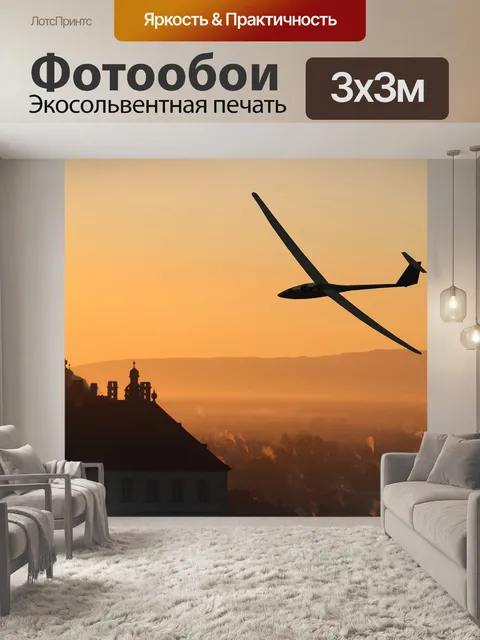 Фотообои Глайдер пилот