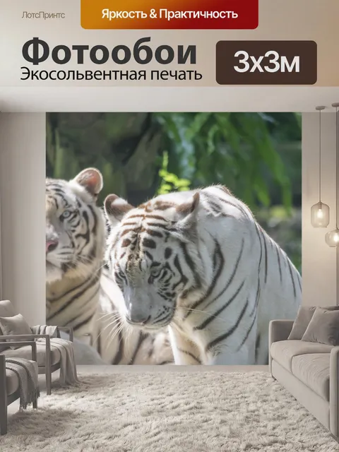 Фотообои Белые тигры