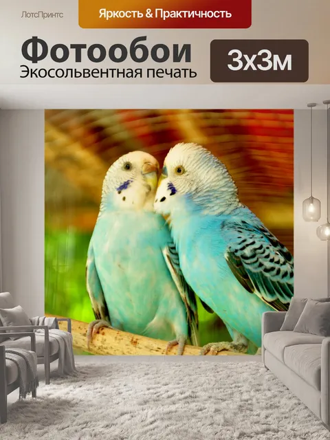 Фотообои Птицы