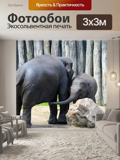 Фотообои В ванне со слонами 20