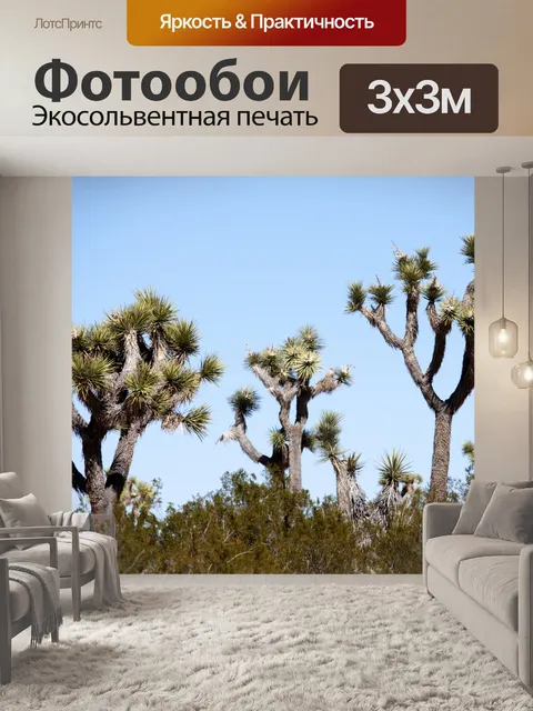 Фотообои Деревья кактусы Джошуа