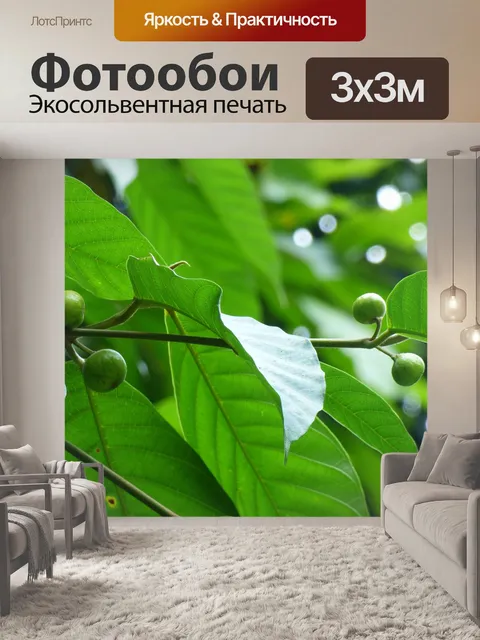 Фотообои Зеленые листья