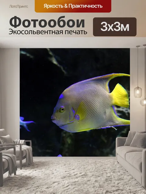 Фотообои Рыбы