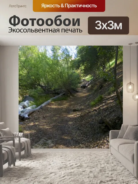Фотообои Путь в лесу