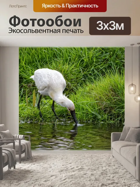 Фотообои Белый колпица 7
