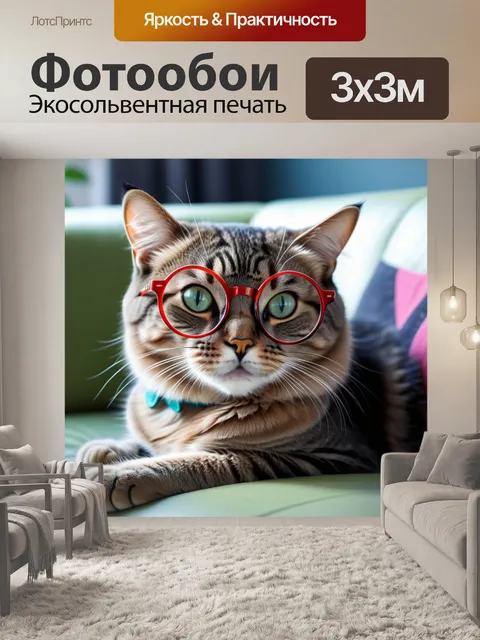 Фотообои миленькая кошка в круглых очках, сидящая на диване