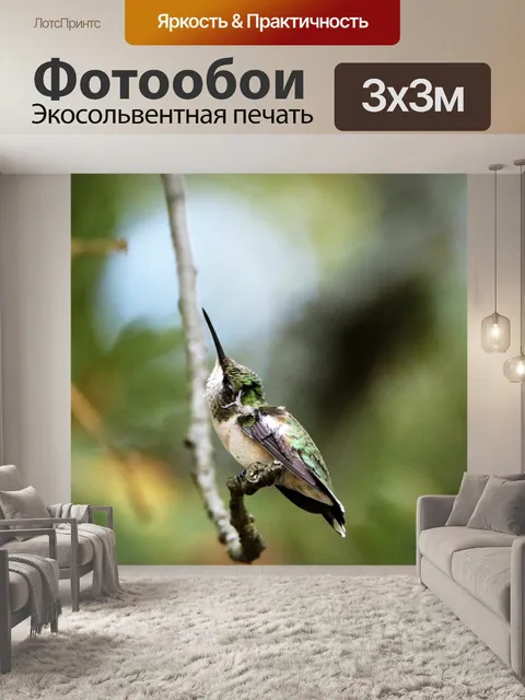 Фотообои Царапина