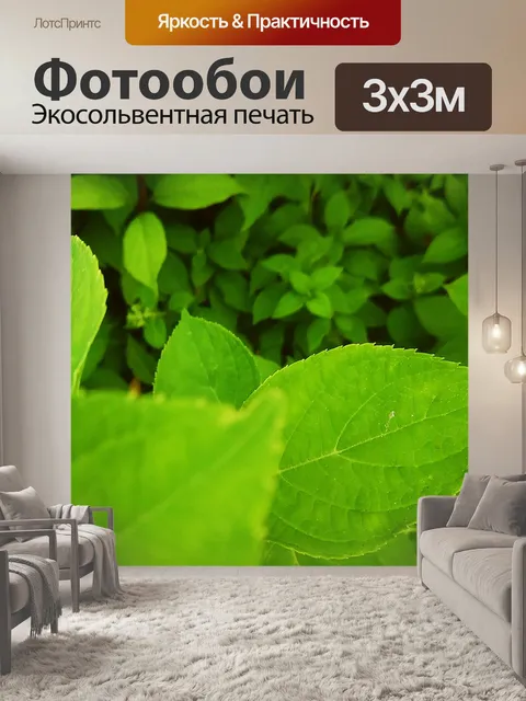 Фотообои Зеленый