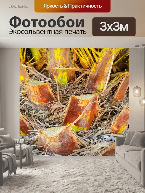 Фотообои подробно дерево Палм