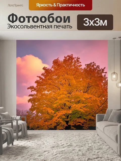 Фотообои нежные розовые облака, обвивающиеся вокруг осенних деревьев с золотыми листьями, создавая контраст цветов