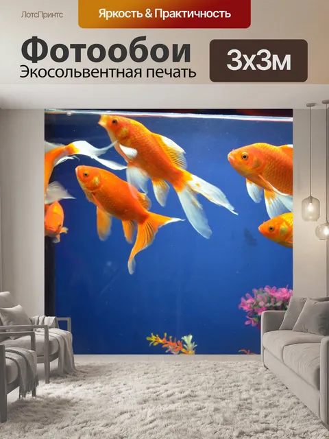 Фотообои Аквариум (б)