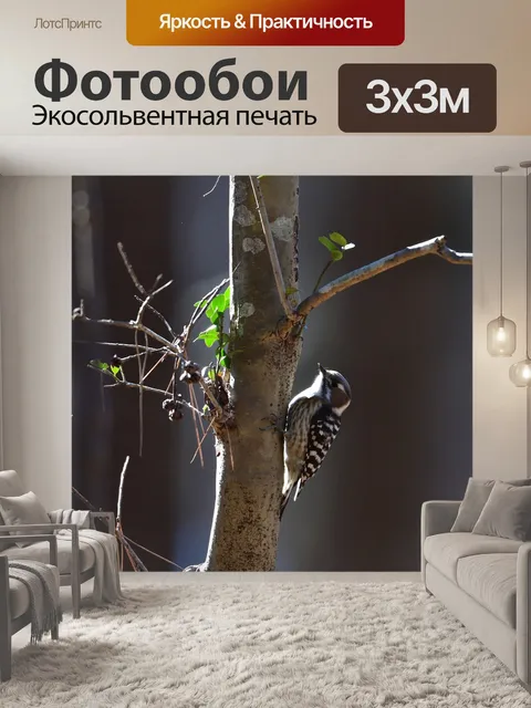 Фотообои На открытом воздухе