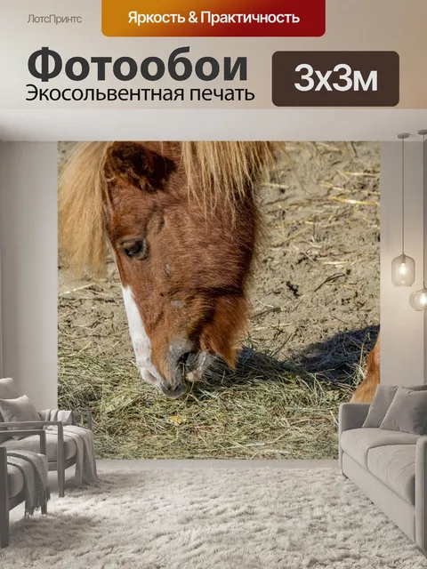 Фотообои пони ест сено